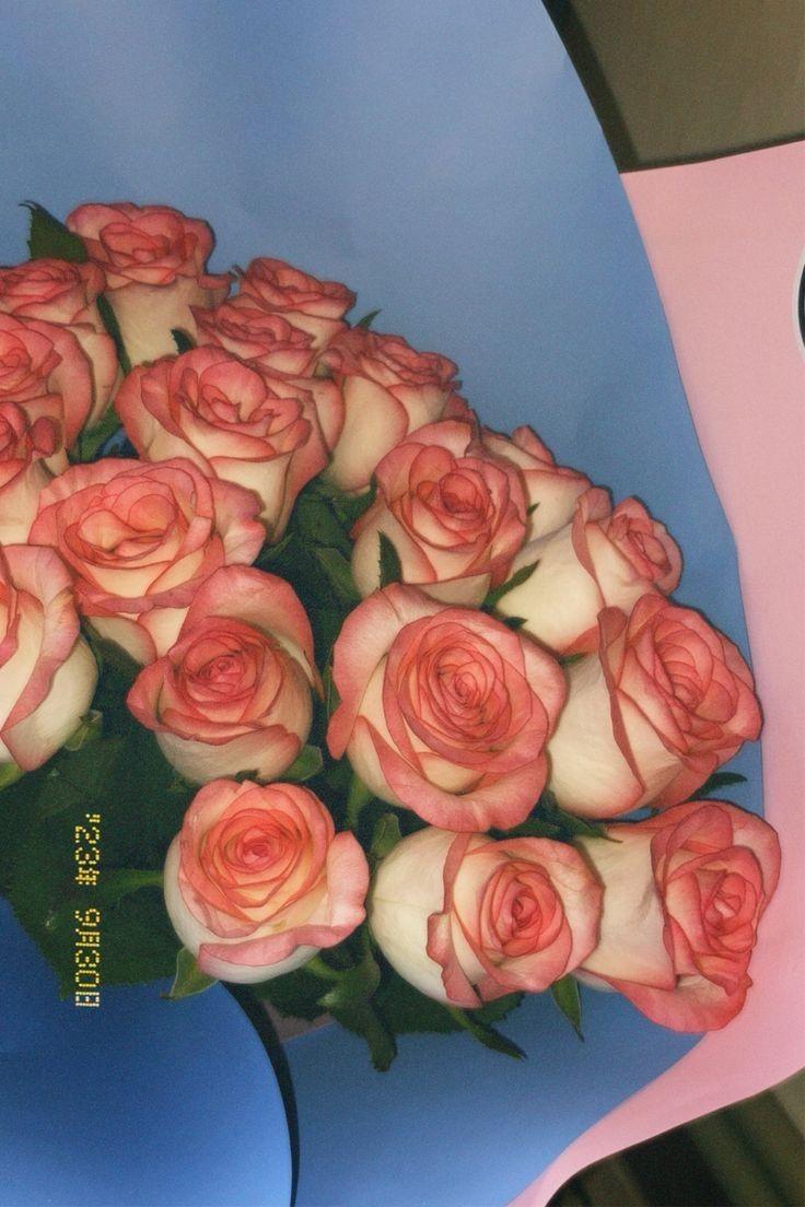 Secret Garden's Mystical Delight